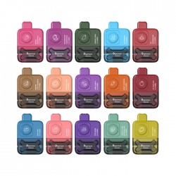 Vapeman 5000 Puffs - 5% 